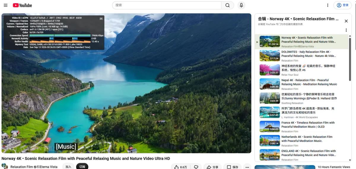 Fastlink YouTube 4K 截图