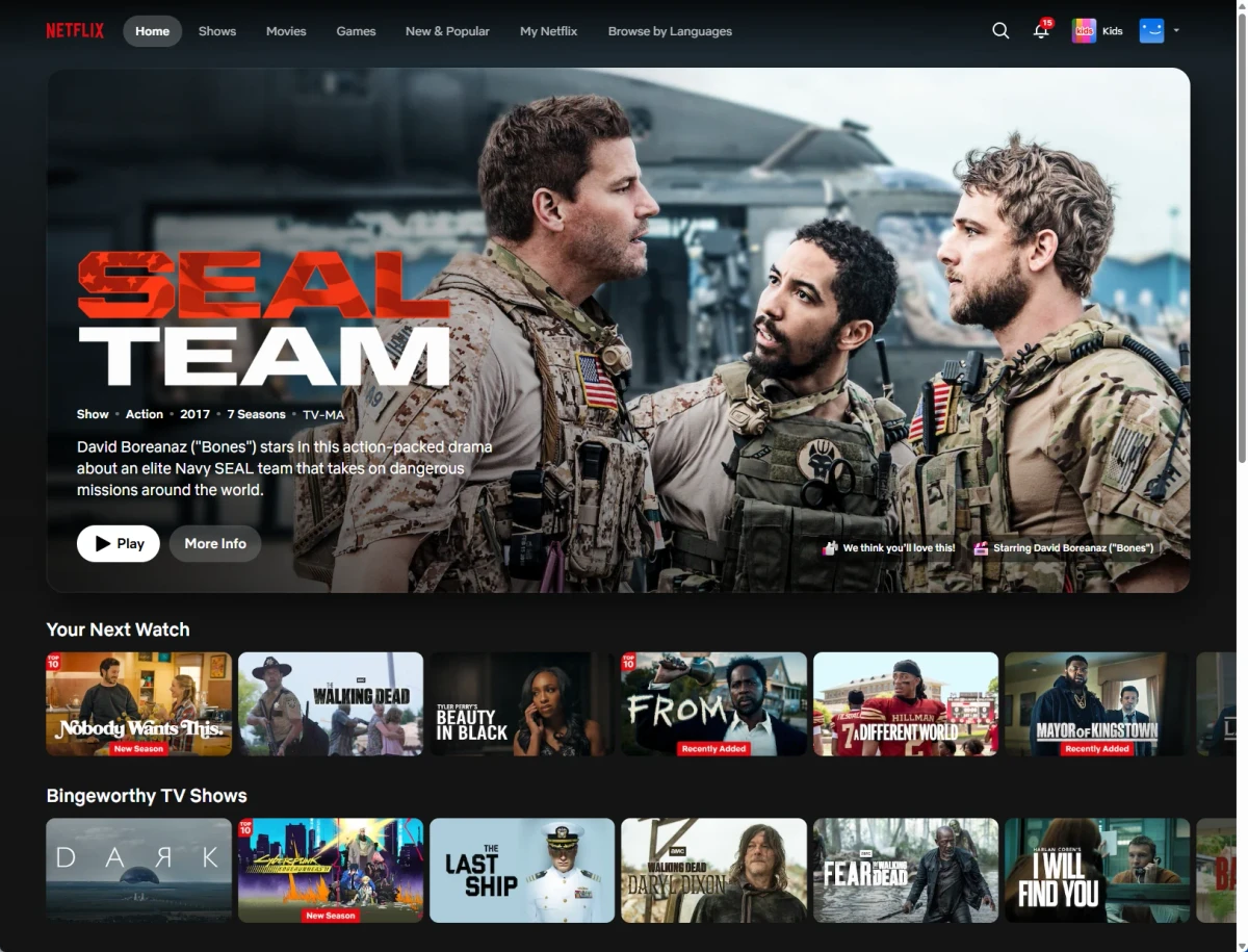 魔戒美国节点 Netflix 片库页面
